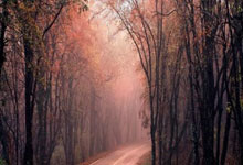 王大雷回应黄油手：那个球我没看清新黄河.