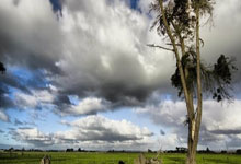 蓝鲸体育：欧冠刺激夜！6-1，两人双响炮+4人破门，巴萨女.