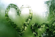 内斯塔：在拉齐奥时1-5罗马让我成长；为留守球队曾拒绝皇马.