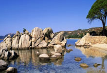 蓝鲸体育：[CBA]常规赛3月29日：上海VS新疆.